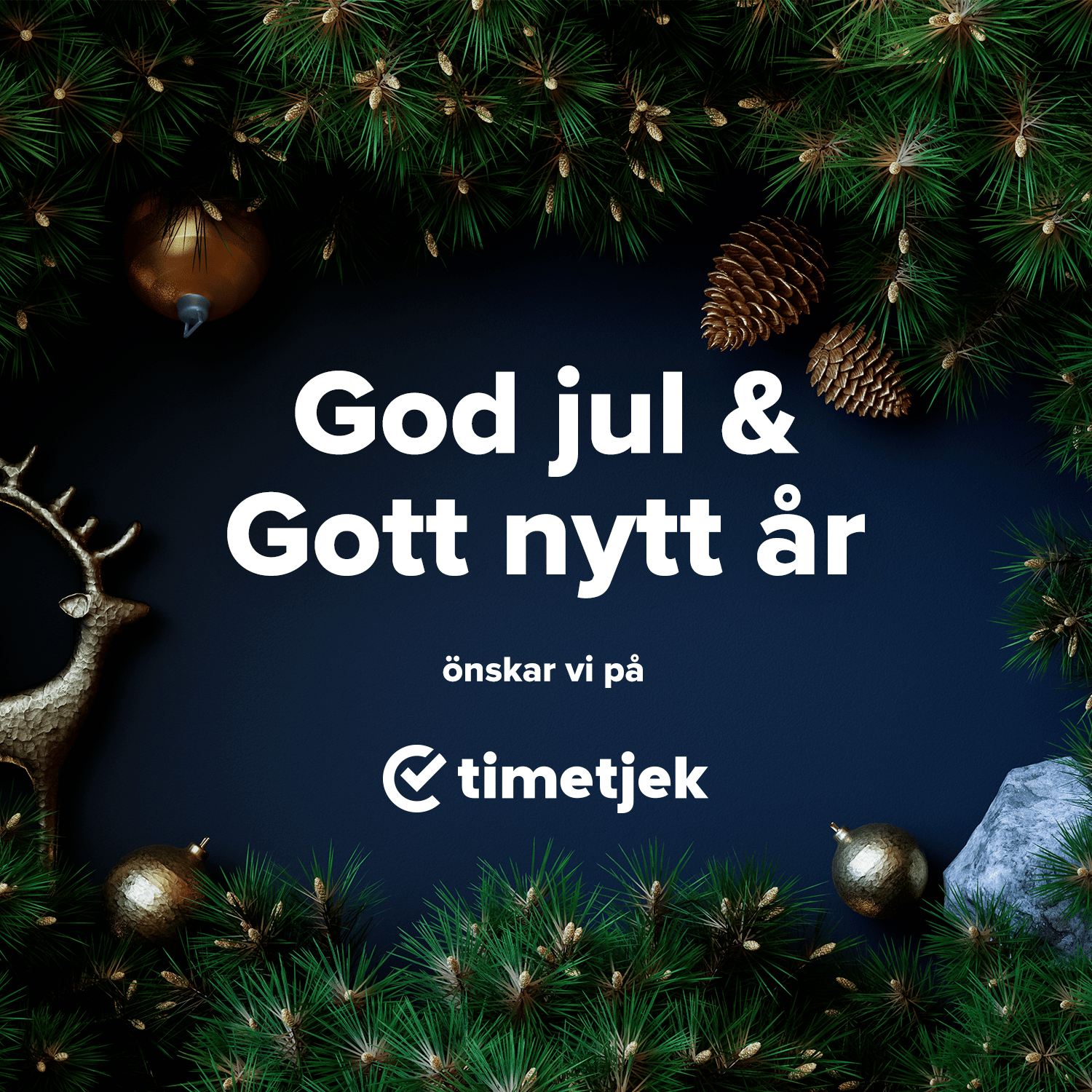 God Jul 2022 Timetjek